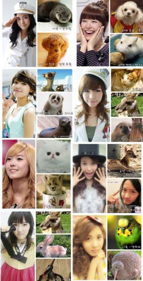 วง SNSD นั้นดูคล้ายกับสัตว์ชนิดไหนกันบ้าง?