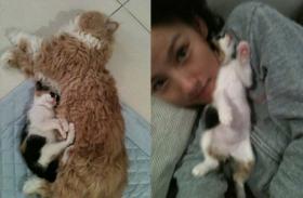 ลีฮโยริ (Lee Hyo Ri) ถ่ายภาพกับแมวที่เก็บมาเลี้ยงของเธอ?