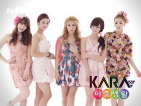 วง Kara จะกลับไปเริ่มกิจกรรมที่ประเทศญี่ปุ่นในสัปดาห์หน้า