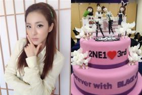 วง 2NE1 ฉลองครบรอบ 3 ปี