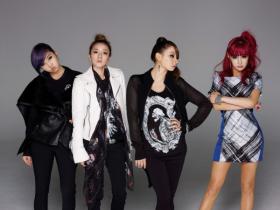 วง 2NE1, Se7en และ Sean จะร่วมแสดงในงาน 2013 Severance Love Sharing Concert 