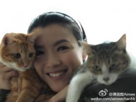 คนรักเหมียวจวกอดีตมิสฮ่องกง เฉินอิงเหว่ย (Aimee Chan) ทิ้งแมวหลังมีลูก