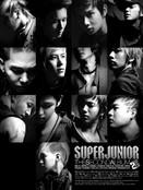 Super_Junior7.jpg