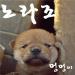 [MV] Norazo - Puppy