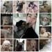 อึมแทวูง (Uhm Tae Woong) ดีใจที่ได้เป็นพ่อของสุนัขน่ารักๆ ถึง 14 ตัว!