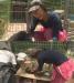 ลีฮโยริ (Lee Hyori) ไปร่วมรายการ Animal Farm