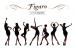 [Teaser] Nine Muses - Figaro