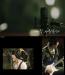 เพลง Still In Love ของวง C.N. Blue ติดชาร์ตเรียลไทม์!