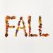 [AUDIO] Fall - Real Love
