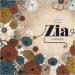 [AUDIO] Zia -  Need You (ft. Huh Gak)