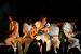 20080414News01_Front.jpg