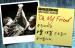 20080813Clip01_Front.jpg