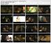 20080905Clip01_Front.jpg