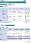 วง SNSD ได้รางวัล Double Platinum และ T-ara ได้รางวัล Gold ที่ประเทศญี่ปุ่น!