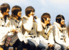 F.T Island