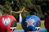 Wipeout
