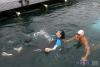 ญี่ปุ่นแบนซีรีส์ A Man Called God หลัง ซองอิลกุ๊ก (Song Il Gook) ร่วมว่ายน้ำไปเกาะทอคโด