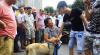 เจย์ โจว (Jay Chou) รับไม่ได้จัดงานเทศกาลเนื้อสุนัขในเมืองจีน