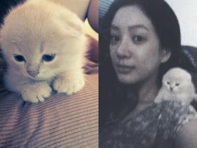 จองริววอน (Jung Ryeo Won) เผยภาพแมวที่น่ารัก