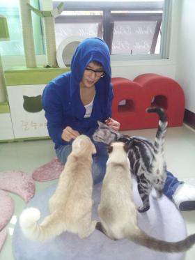 จุนซู (Junsu) จาก JYJ กำลังยุ่งกับการให้อาหารแมวของเขา