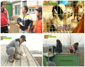 ลีฮโยริ (Lee Hyori) บริจาคอาหารให้กับสัตว์ที่ถูกทิ้ง!