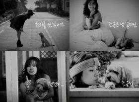 ลีฮโยริ (Lee Hyori) ร่วมโครงการโปรโมท “แคมเปญรับสัตว์ไปเลี้ยงเป็นเพื่อน” 