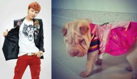 G-Dragon ทักทายแฟนๆ ด้วยภาพน่ารักๆ ของสุนัขของเขา