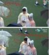 ชาวเน็ตตั้งข้อสงสัย สมาชิกคนอื่นของ T-ara จงใจพังร่มของ ฮวายอง